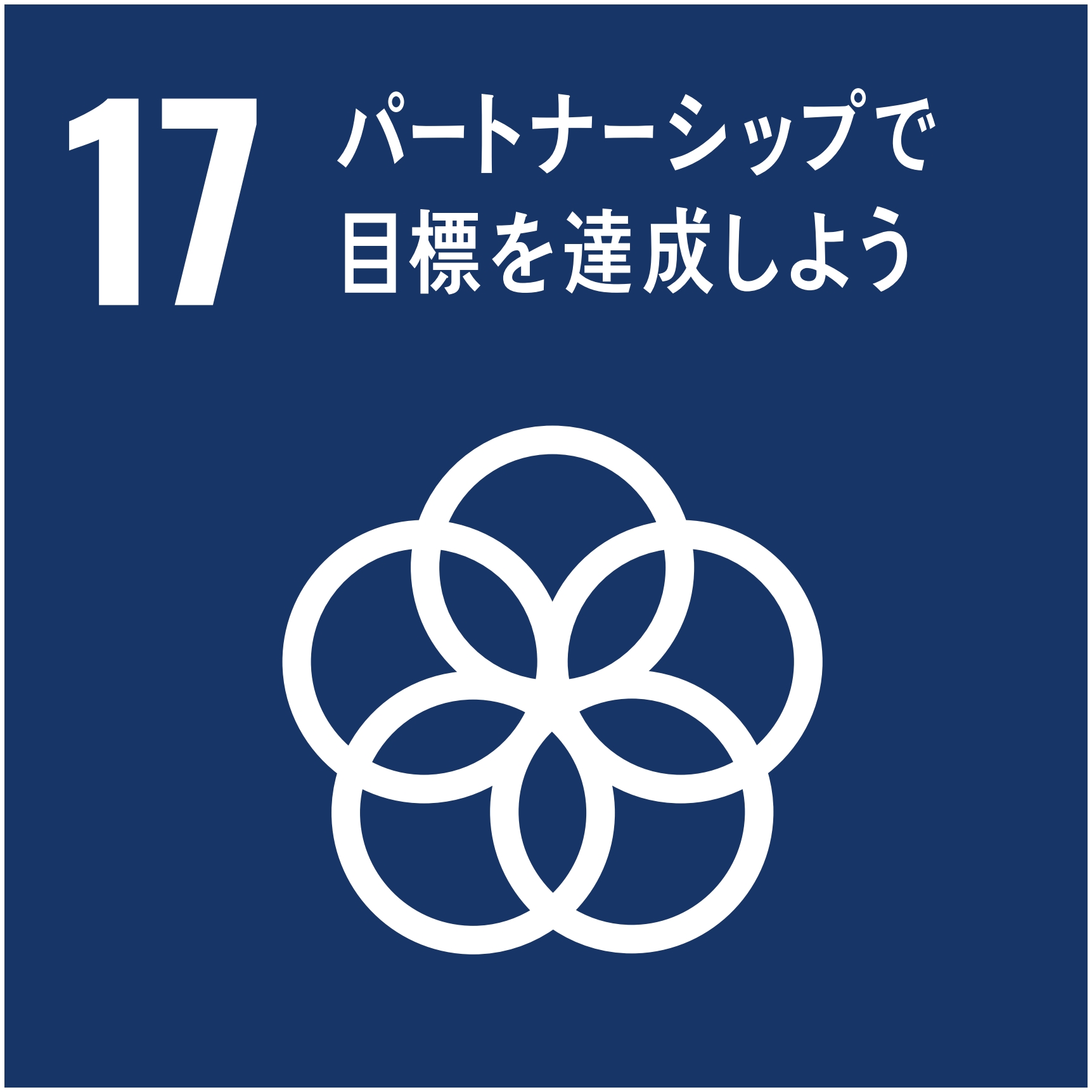 SDGs Goal 17